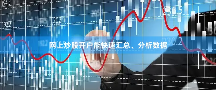网上炒股开户能快速汇总、分析数据