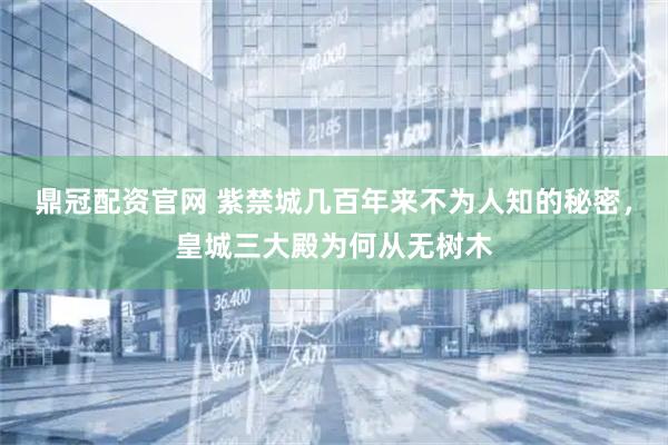 鼎冠配资官网 紫禁城几百年来不为人知的秘密，皇城三大殿为何从无树木